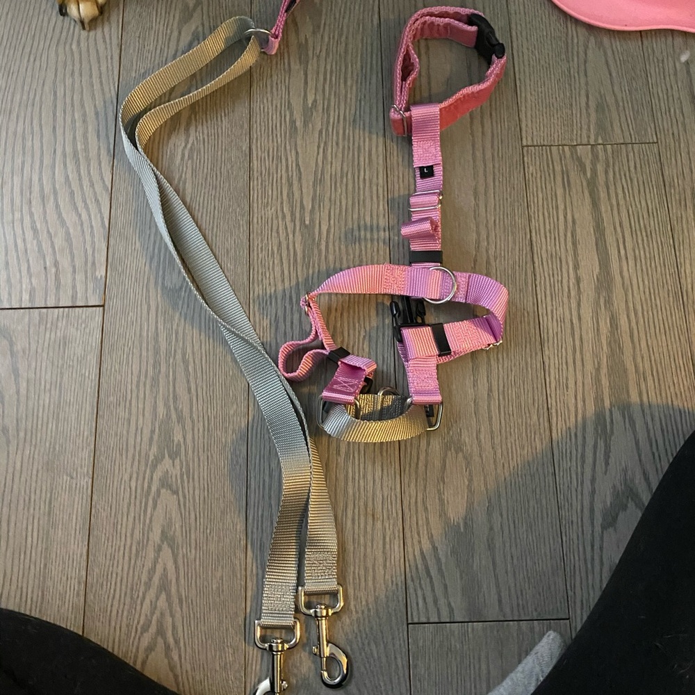 No Pull Dog Harness & Leash, Rose Gold, Size L